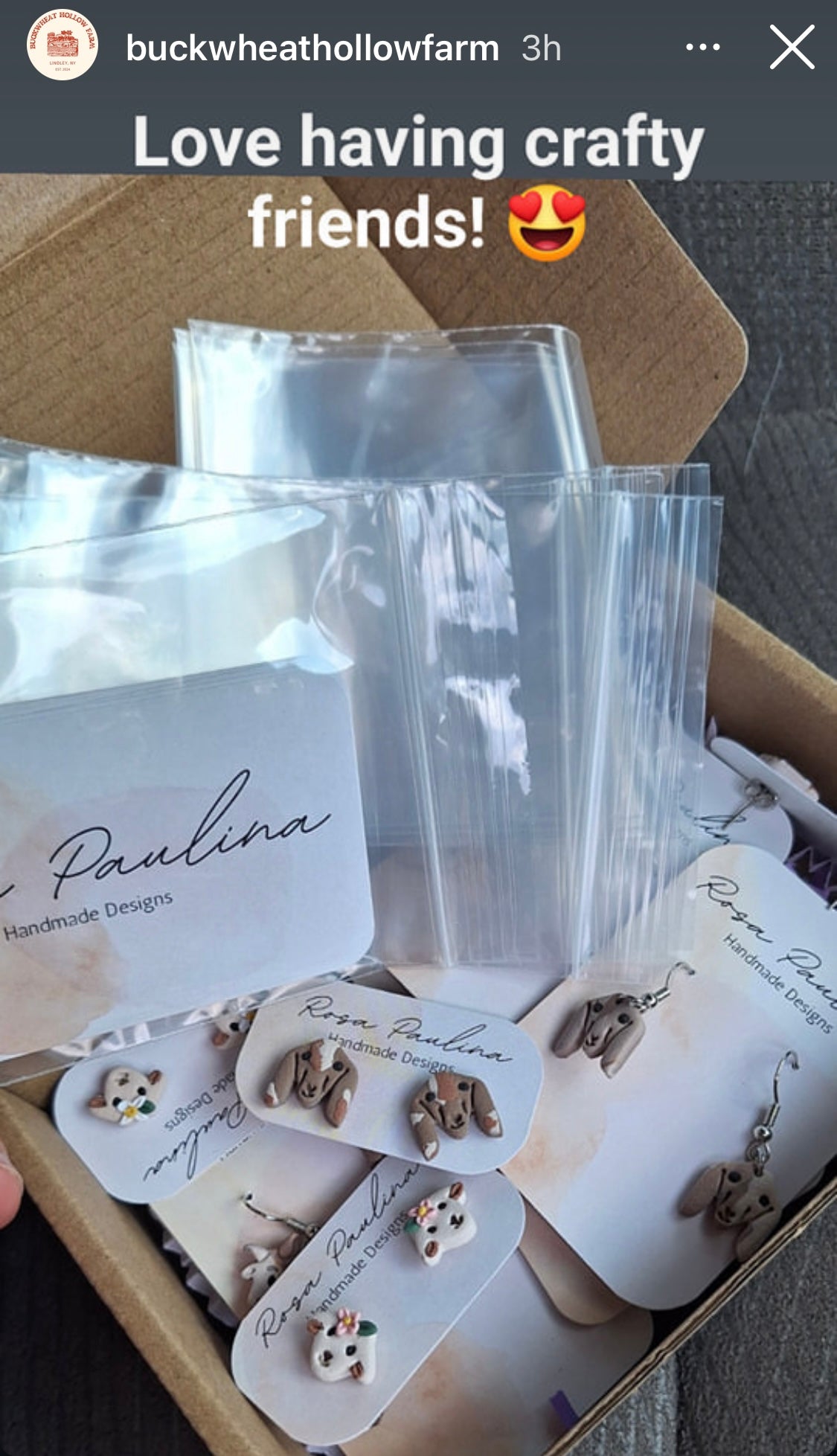 1.1 Goat earrings studs, and dangles