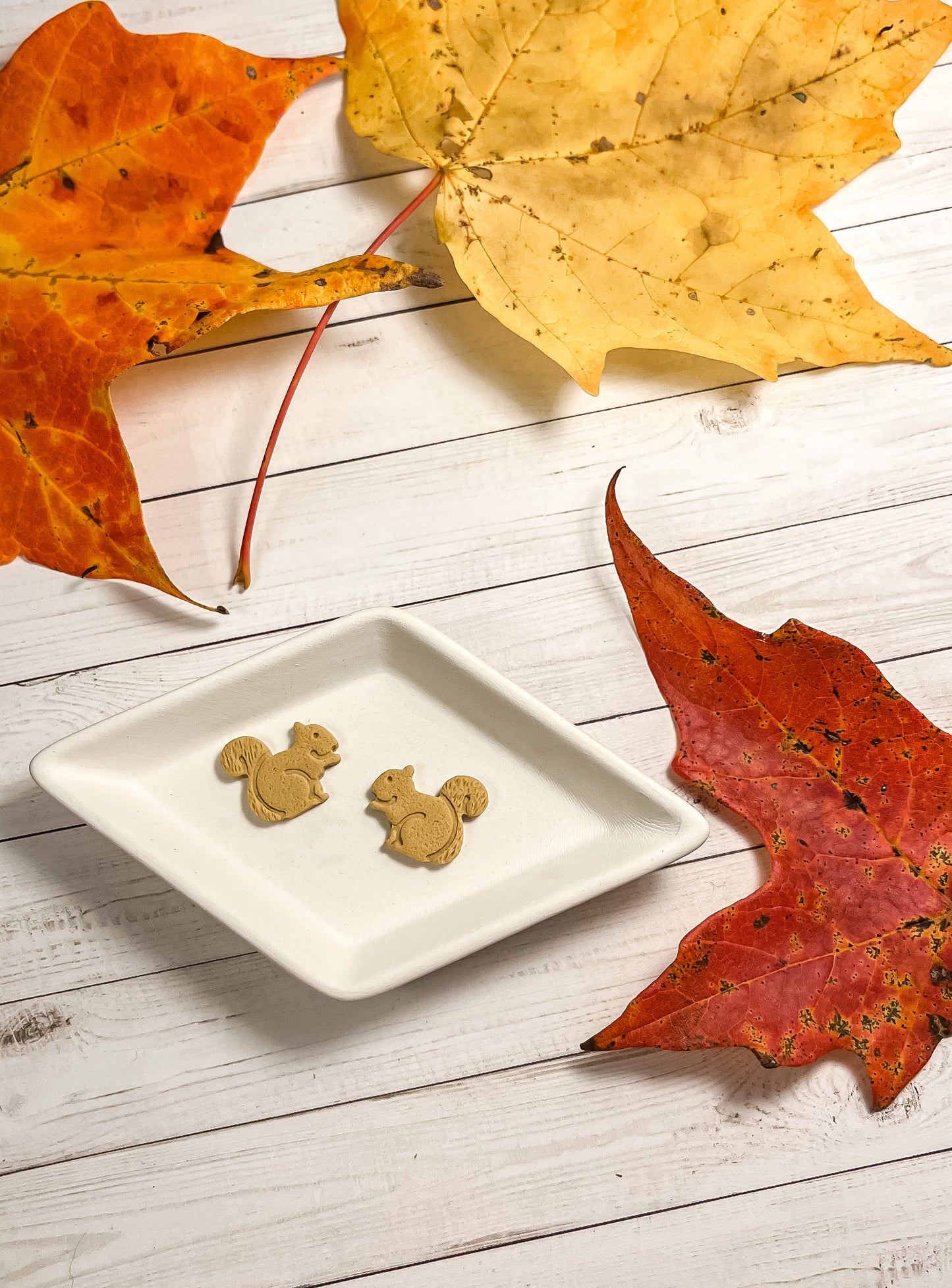 4.3 Hoops acorn, squirrel studs, lightweight earrings, Fall earrings