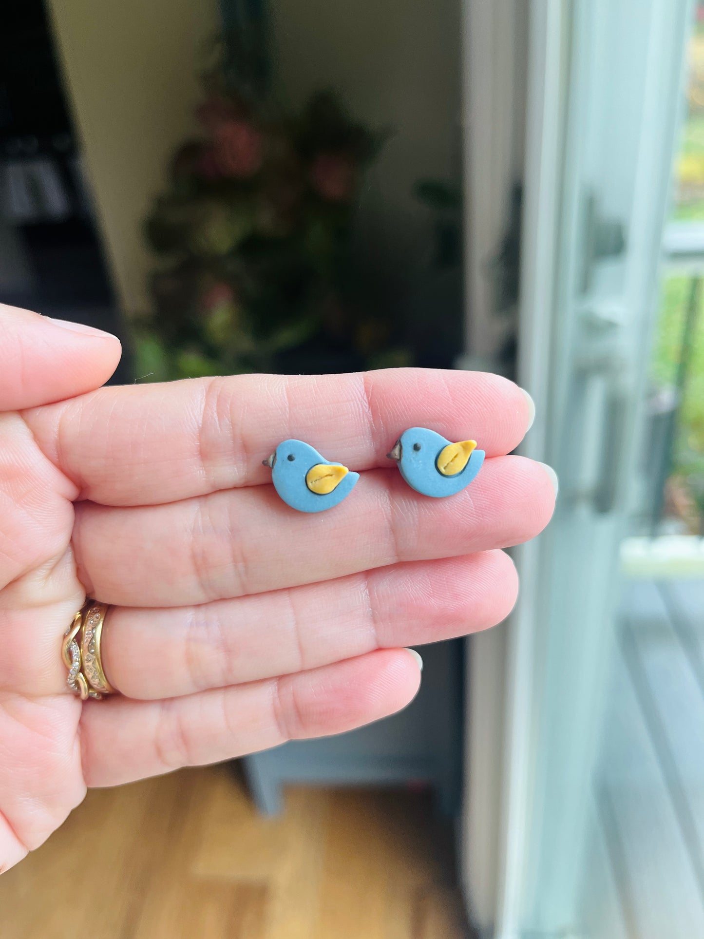 2.7 Little birds earring students