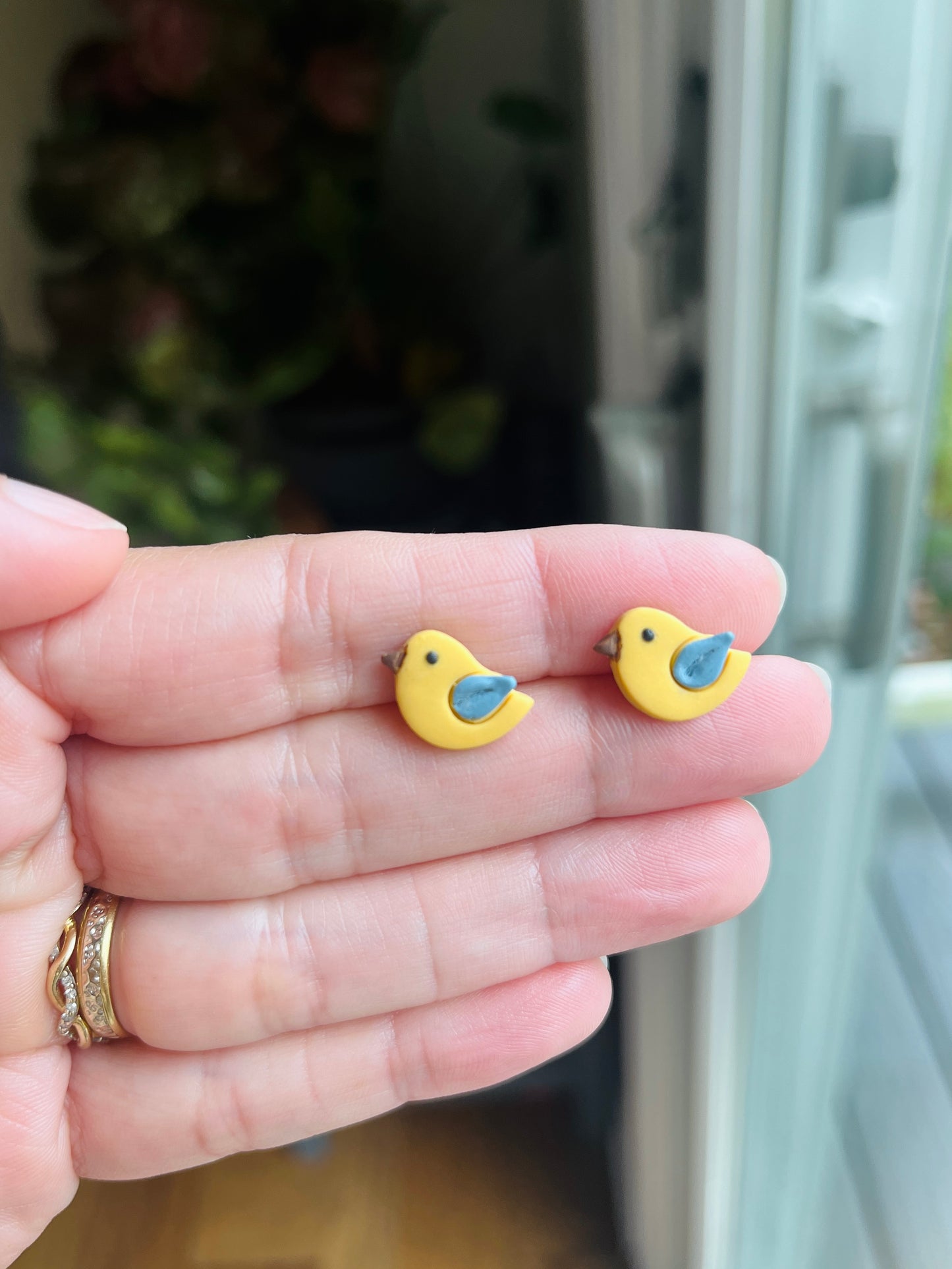 2.7 Little birds earring students