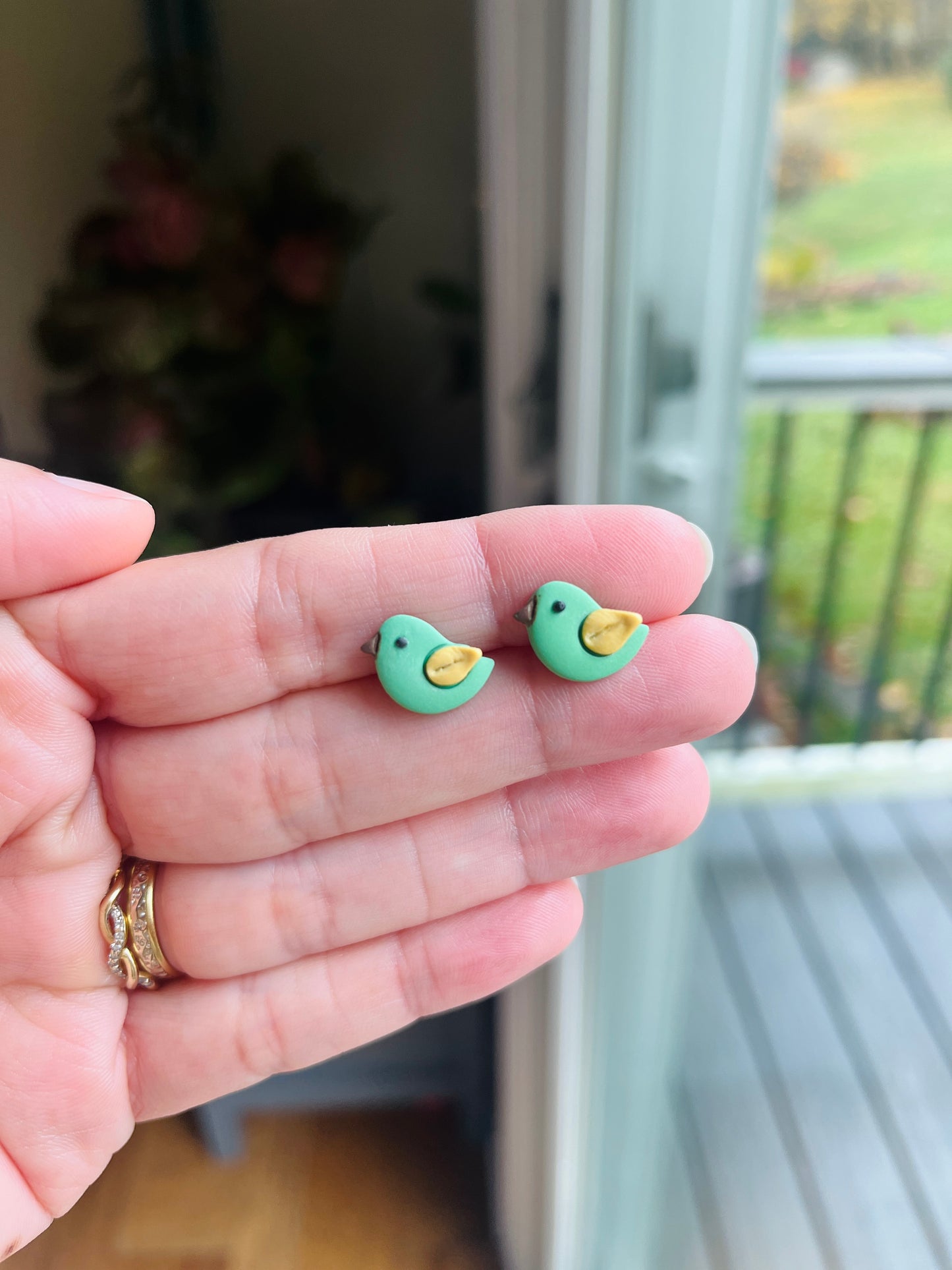 2.7 Little birds earring students