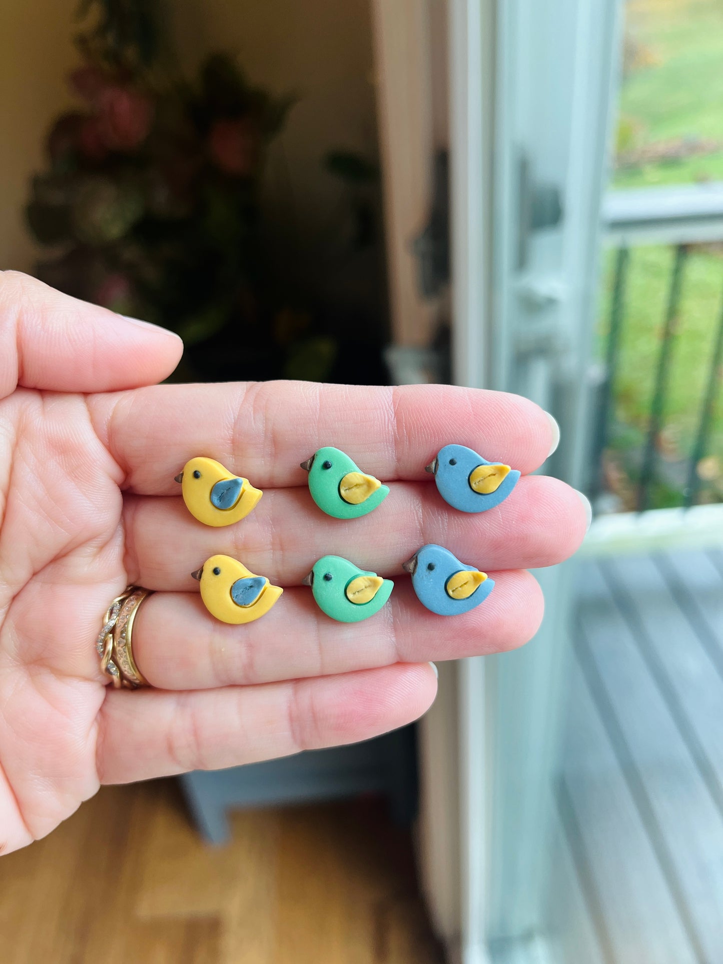 2.7 Little birds earring students