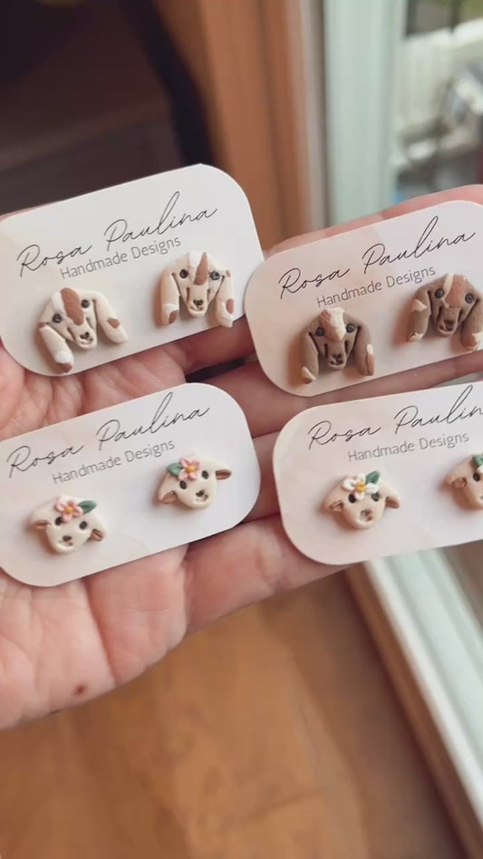 1.1 Goat earrings studs, and dangles