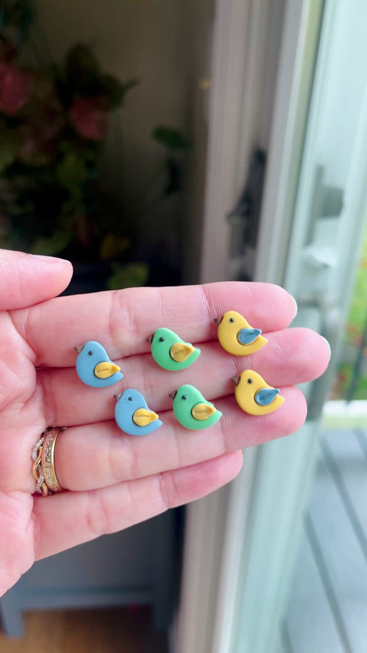 2.7 Little birds earring students